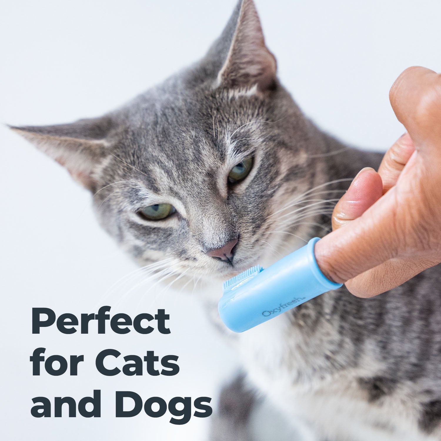 Premium Pet Toothbrush Set