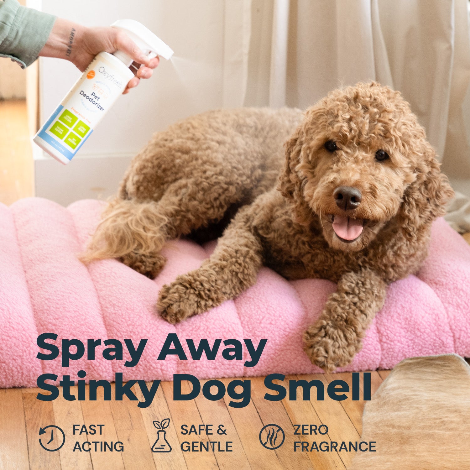 Advanced Pet Deodorizer Spray