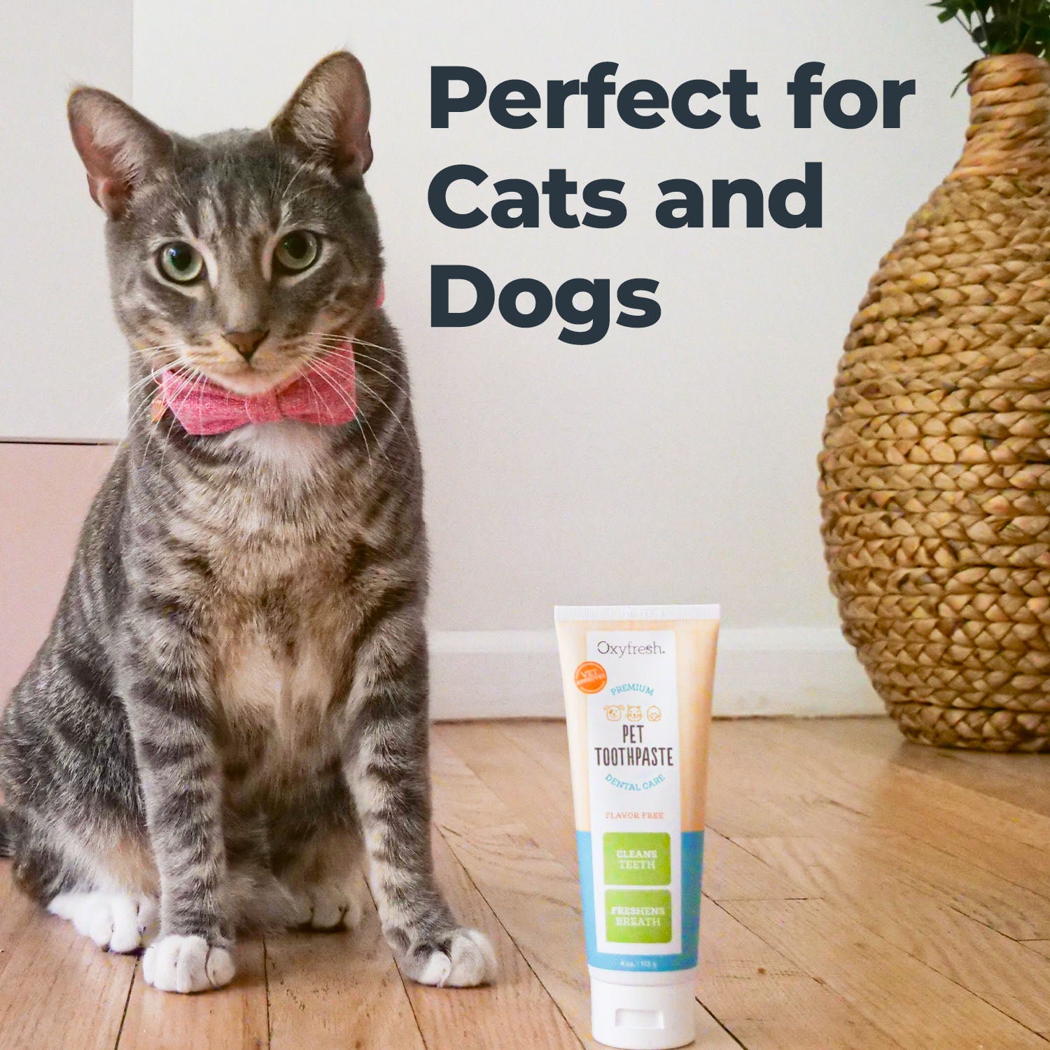Premium Pet Dental Gel Toothpaste