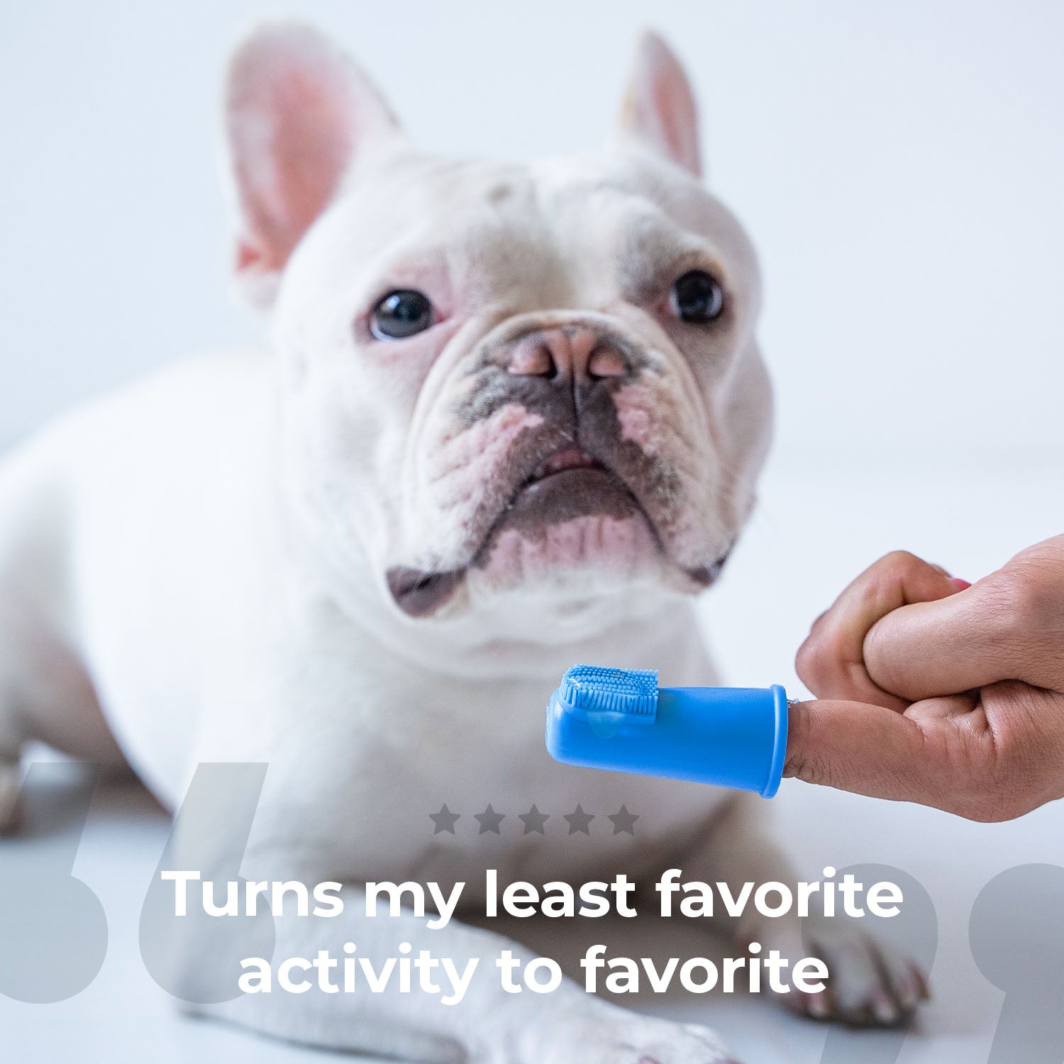 Premium Pet Toothbrush Set